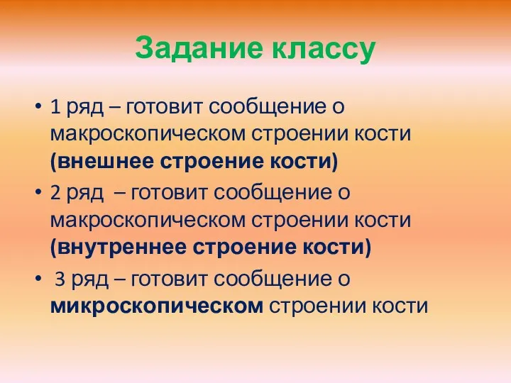 Задание классу 1 ряд – готовит сообщение о макроскопическом строении