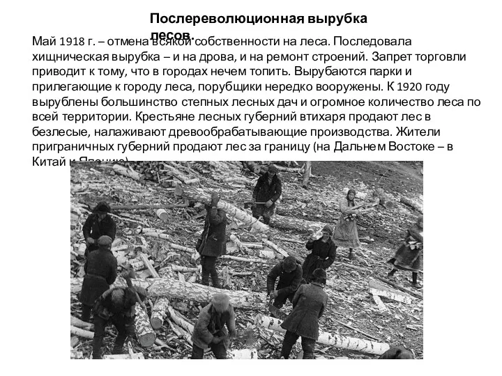 Послереволюционная вырубка лесов. Май 1918 г. – отмена всякой собственности