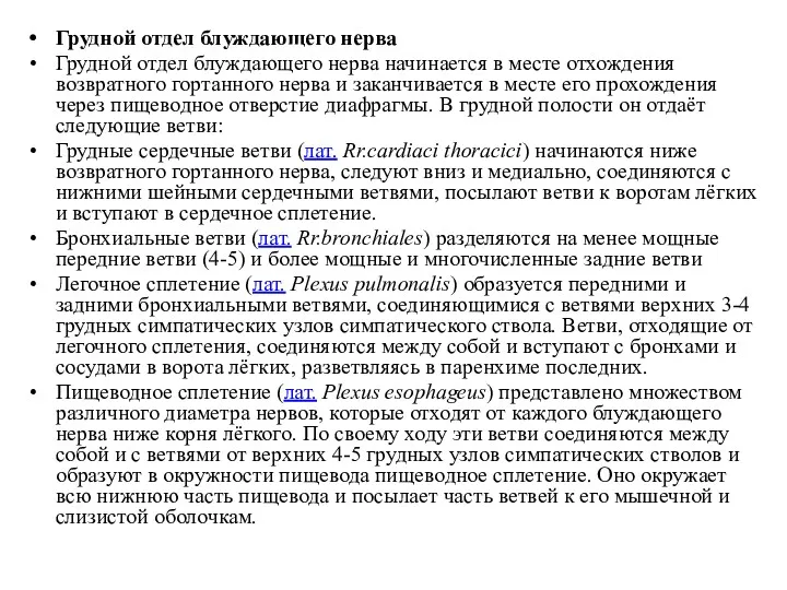 Грудной отдел блуждающего нерва Грудной отдел блуждающего нерва начинается в