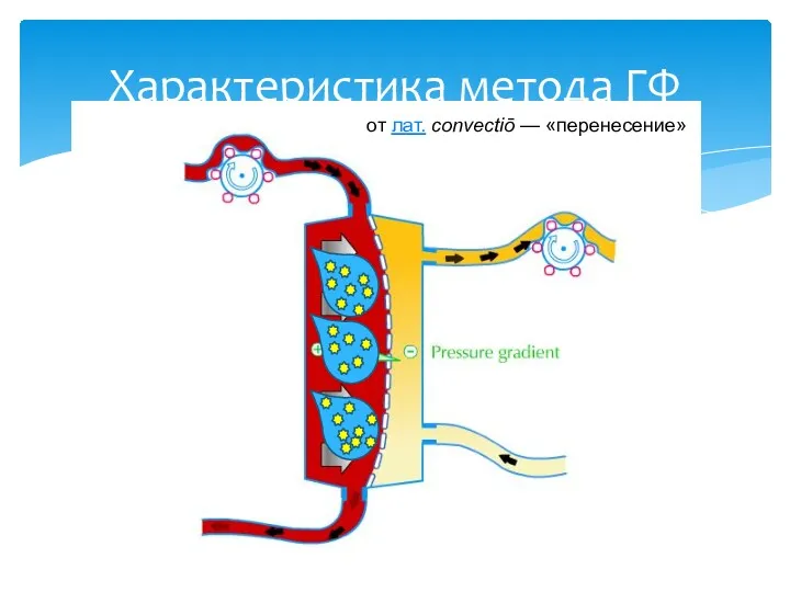 Характеристика метода ГФ от лат. convectiō — «перенесение»