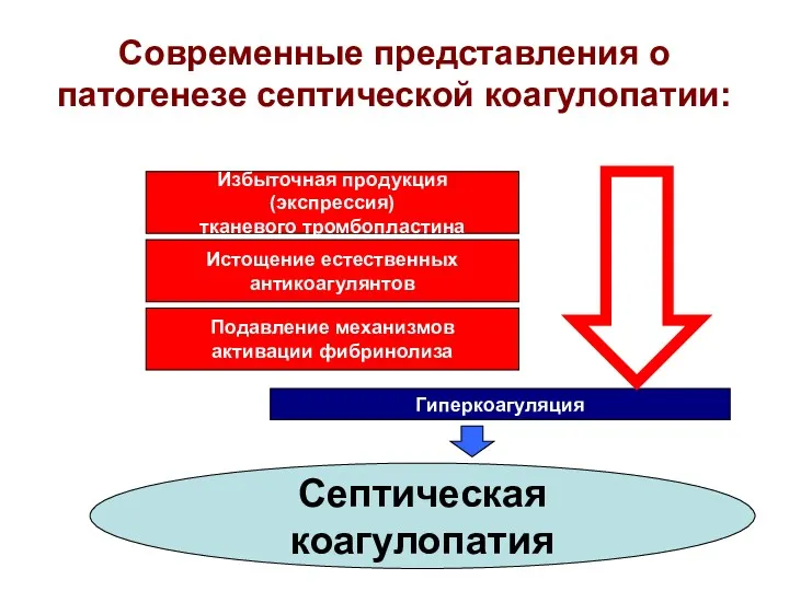 Современные представления о патогенезе септической коагулопатии: Избыточная продукция (экспрессия) тканевого