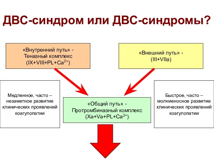 ДВС-синдром или ДВС-синдромы? «Внутренний путь» - Теназный комплекс (IX+VIII+PL+Ca2+) «Внешний