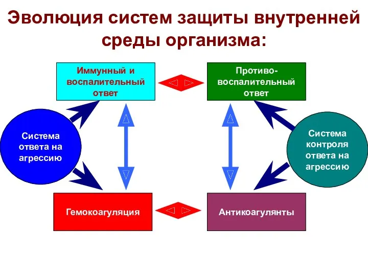 Эволюция систем защиты внутренней среды организма: Система ответа на агрессию