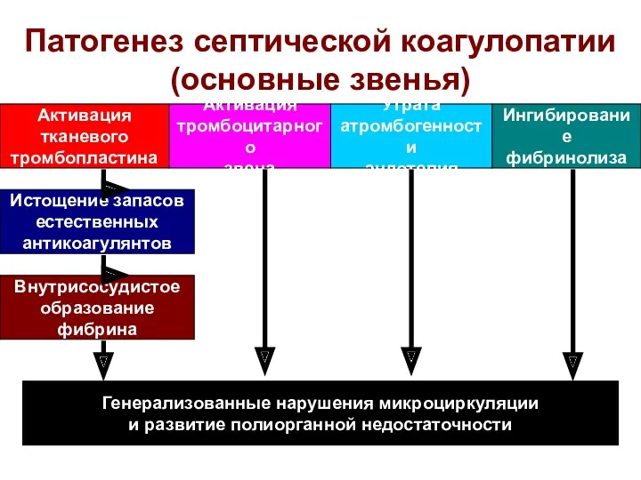 Патогенез септической коагулопатии (основные звенья) Активация тканевого тромбопластина Истощение запасов