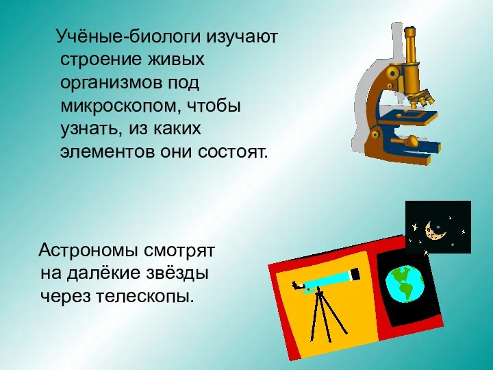 Учёные-биологи изучают строение живых организмов под микроскопом, чтобы узнать, из