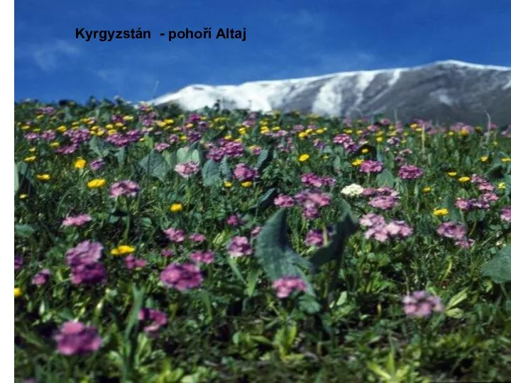 Kyrgyzstán - pohoří Altaj