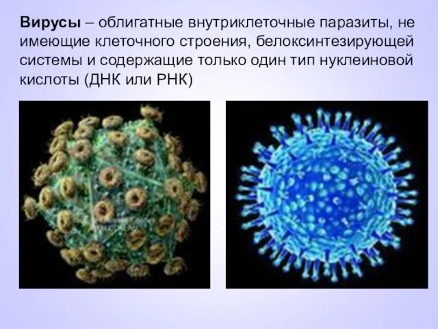 Вирусы – облигатные внутриклеточные паразиты, не имеющие клеточного строения, белоксинтезирующей системы и содержащие