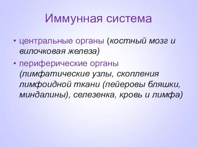 Иммунная система центральные органы (костный мозг и ви­лочковая железа) периферические