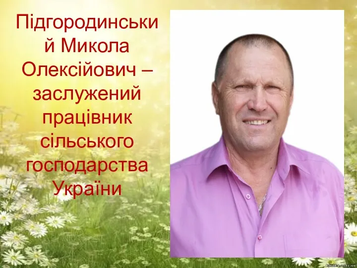 Підгородинський Микола Олексійович – заслужений працівник сільського господарства України
