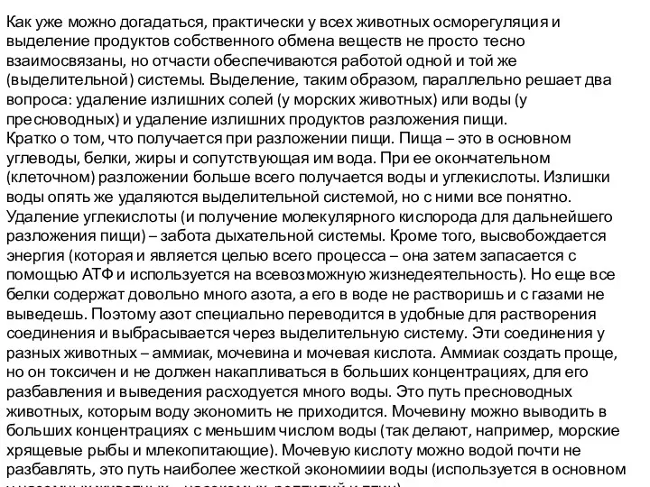 Как уже можно догадаться, практически у всех животных осморегуляция и