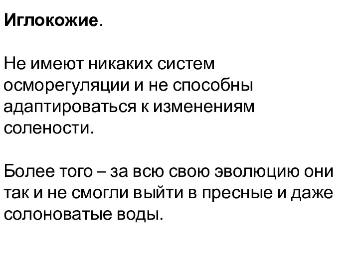 Иглокожие. Не имеют никаких систем осморегуляции и не способны адаптироваться