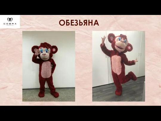 ОБЕЗЬЯНА