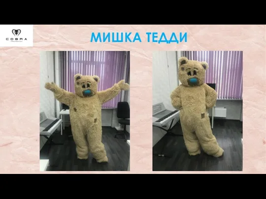 МИШКА ТЕДДИ