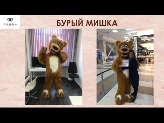 БУРЫЙ МИШКА