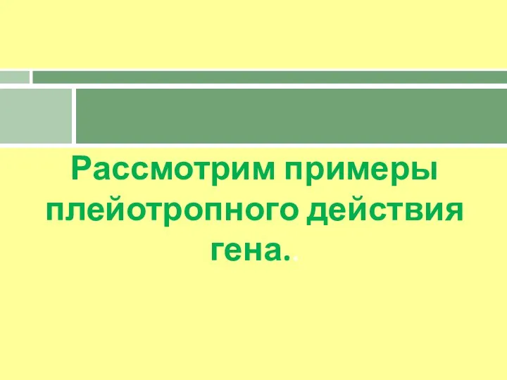 Рассмотрим примеры плейотропного действия гена..