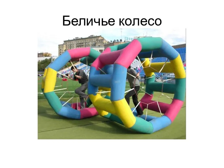 Беличье колесо