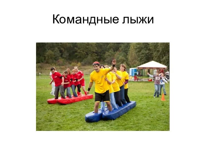 Командные лыжи