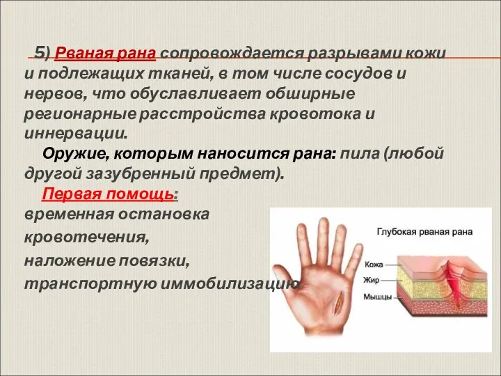 5) Рваная рана сопровождается разрывами кожи и подлежащих тканей, в