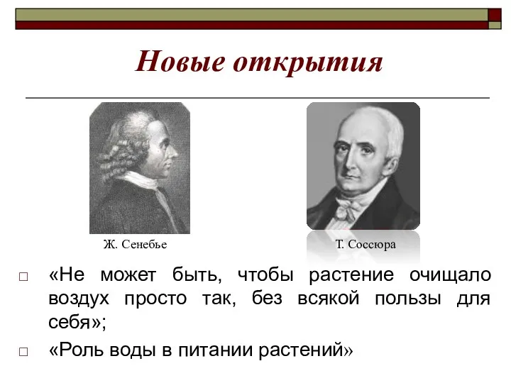 Новые открытия «Не может быть, чтобы растение очищало воздух просто так, без всякой