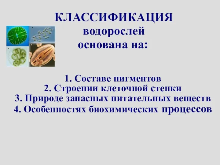 КЛАССИФИКАЦИЯ водорослей основана на: 1. Составе пигментов 2. Строении клеточной