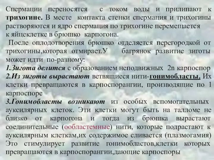 Спермации переносятся с током воды и прилипают к трихогине. В