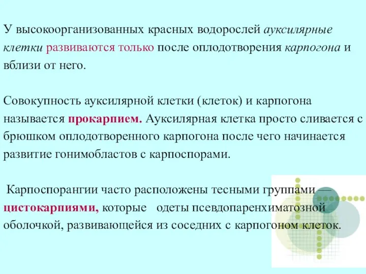 У высокоорганизованных красных водорослей ауксилярные клетки развиваются только после оплодотворения