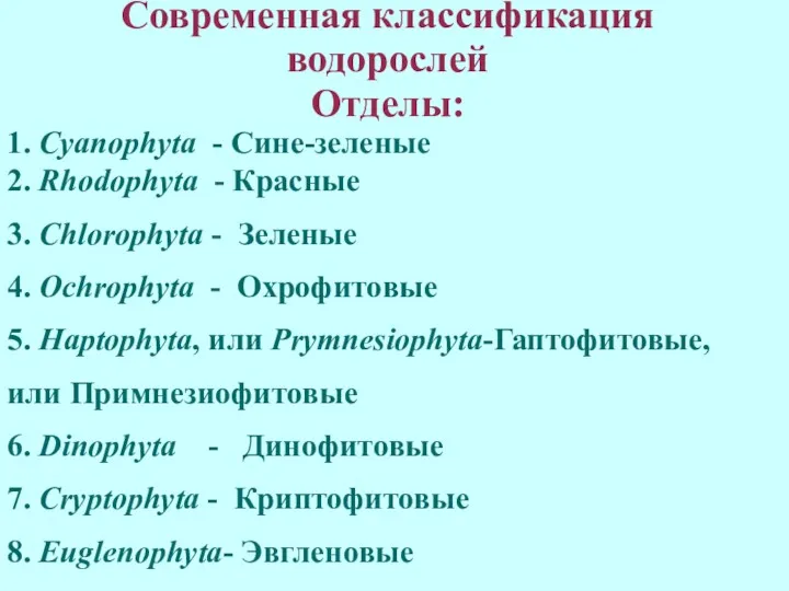 Современная классификация водорослей Отделы: 1. Cyanophyta - Сине-зеленые 2. Rhodophyta