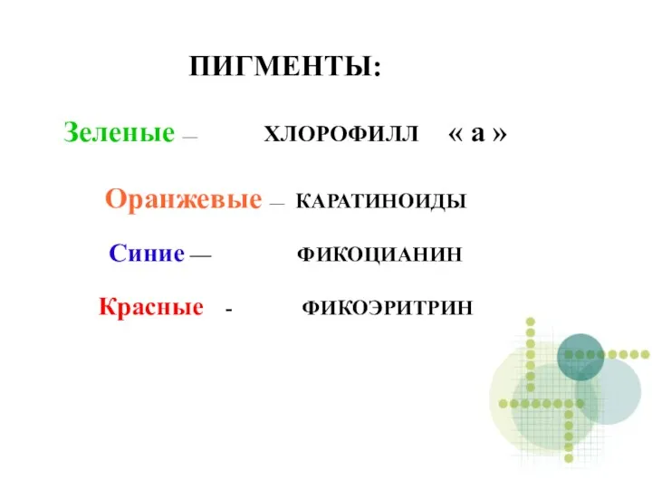 ПИГМЕНТЫ: Зеленые — ХЛОРОФИЛЛ « а » Оранжевые — КАРАТИНОИДЫ Синие — ФИКОЦИАНИН Красные - ФИКОЭРИТРИН