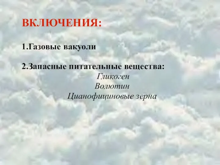 ВКЛЮЧЕНИЯ: 1.Газовые вакуоли 2.Запасные питательные вещества: Гликоген Волютин Цианофициновые зерна