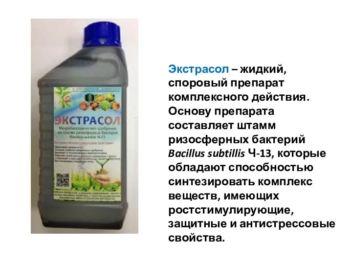 Экстрасол – жидкий, споровый препарат комплексного действия. Основу препарата составляет