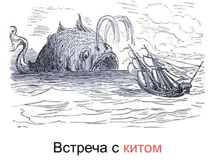 Встреча с китом