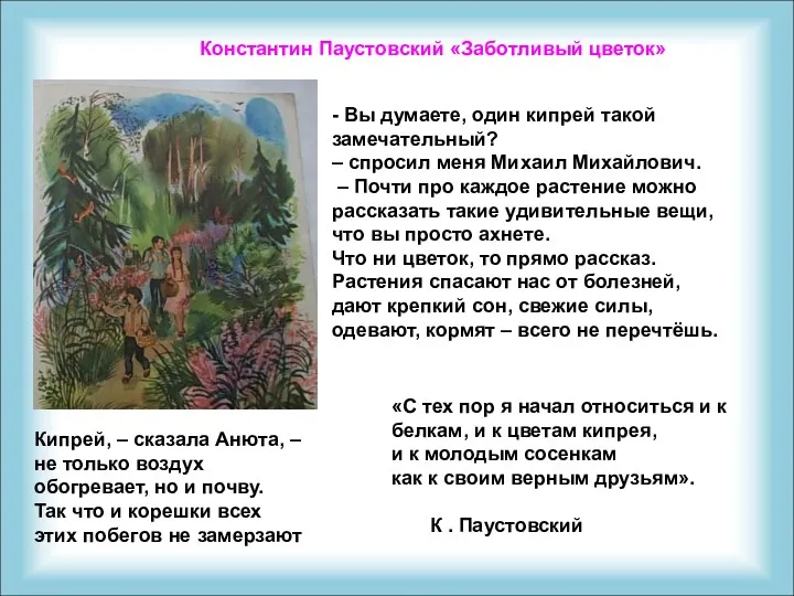 Константин Паустовский «Заботливый цветок» Кипрей, – сказала Анюта, – не только воздух обогревает,