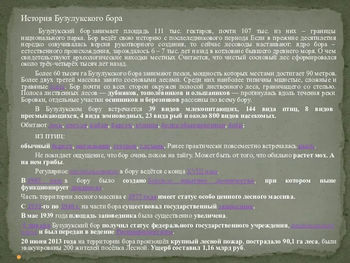 Бузулукский бор занимает площадь 111 тыс. гектаров, почти 107 тыс.