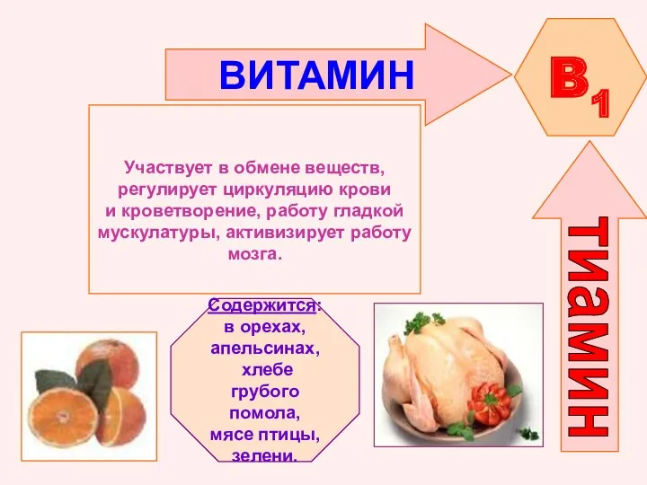 ВИТАМИН B1 Участвует в обмене веществ, регулирует циркуляцию крови и