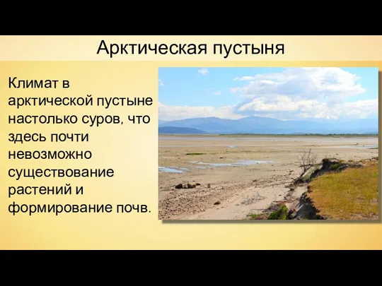 Арктическая пустыня Климат в арктической пустыне настолько суров, что здесь