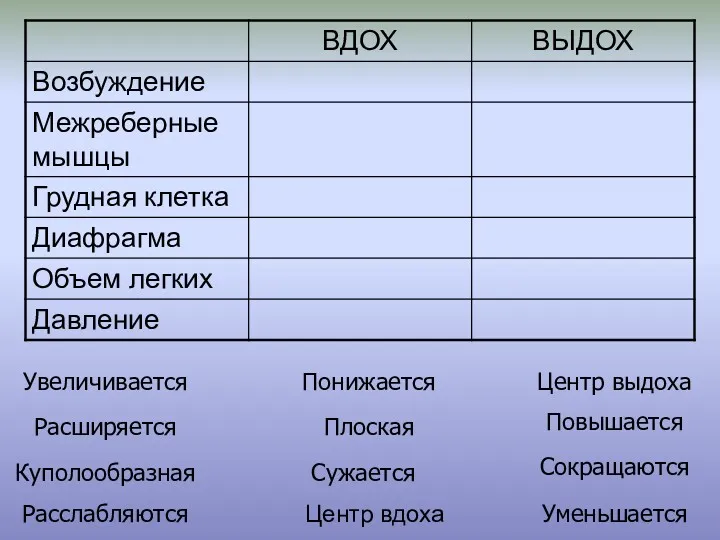 Центр вдоха Куполообразная Увеличивается Центр выдоха Уменьшается Сокращаются Расслабляются Сужается Расширяется Плоская Повышается Понижается