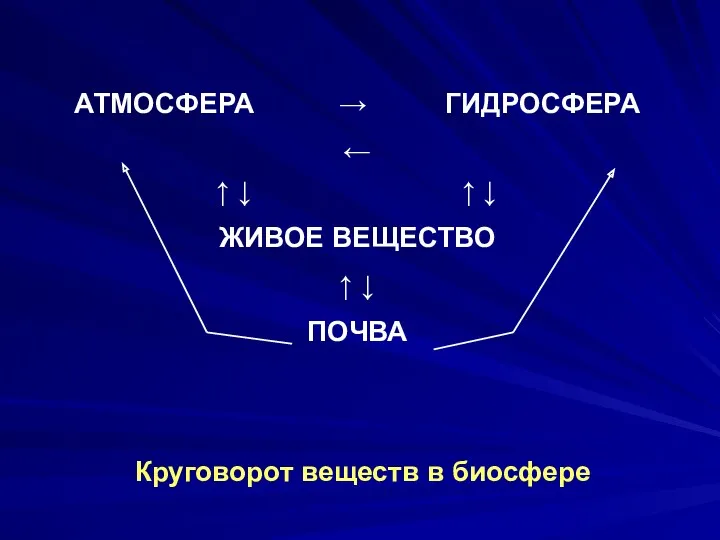 Круговорот веществ в биосфере