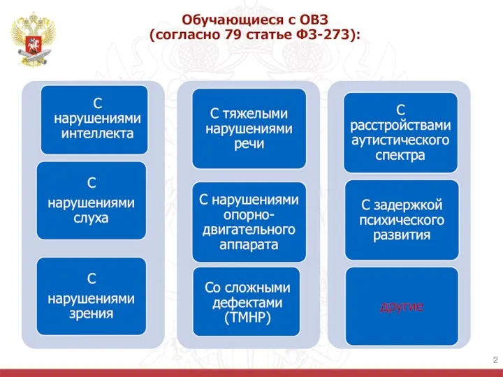 Обучающиеся с ОВЗ (согласно 79 статье ФЗ-273):