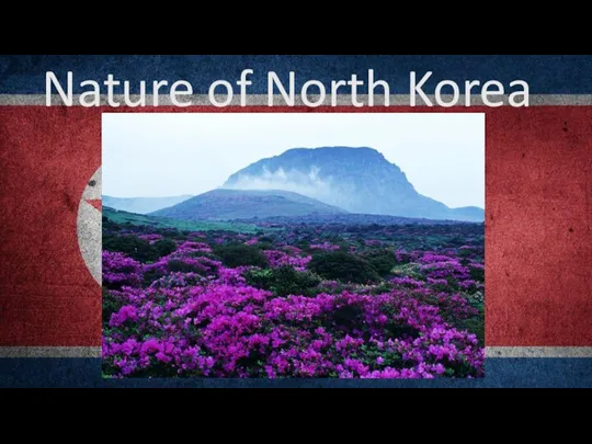 Nature of North Korea