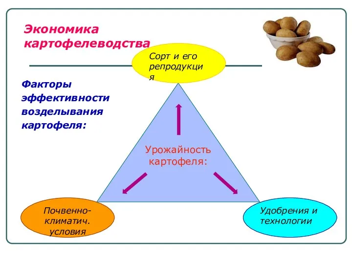 Факторы эффективности возделывания картофеля: Экономика картофелеводства