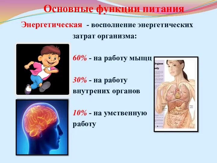 Основные функции питания Энергетическая - восполнение энергетических затрат организма: 60%