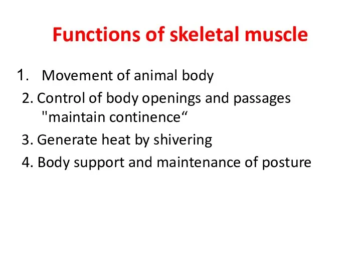 Functions of skeletal muscle Movement of animal body 2. Control