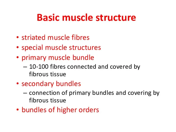 Basic muscle structure striated muscle fibres special muscle structures primary