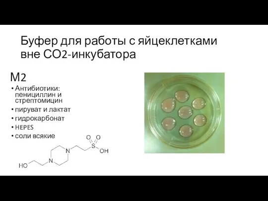 Буфер для работы с яйцеклетками вне СО2-инкубатора Антибиотики: пенициллин и