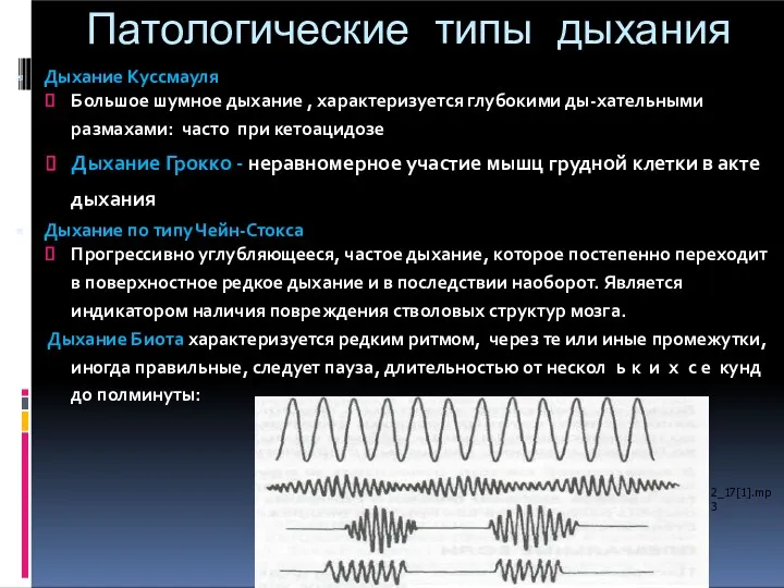 Патологические типы дыхания Дыхание Куссмауля Большое шумное дыхание , характеризуется