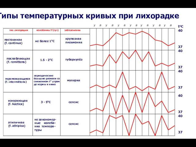 у в у в у в у в у в у в у