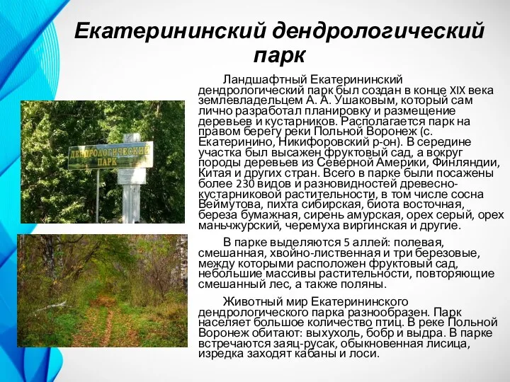 Екатерининский дендрологический парк Ландшафтный Екатерининский дендрологический парк был создан в