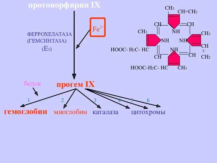 протопорфирин IX прогем IX