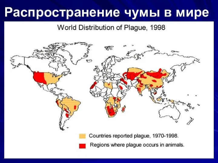 Распространение чумы в мире