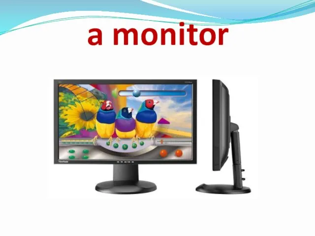 a monitor